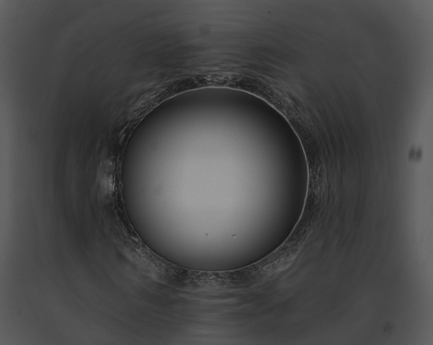 X0000091670962200708301456
