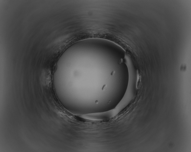 X0000091670963200708301456