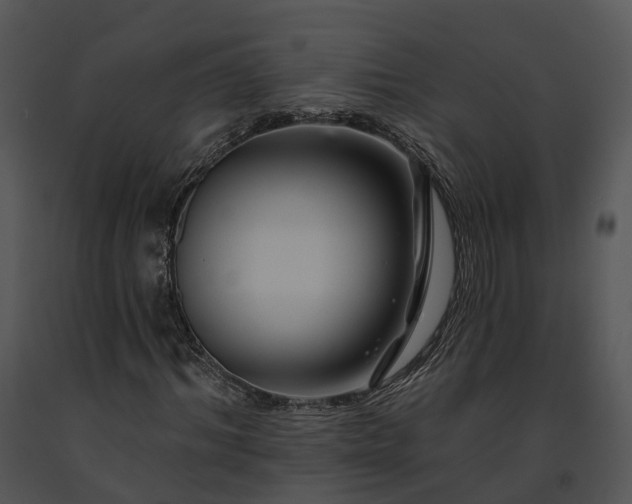 X0000091670964200708301456