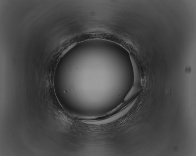 X0000091670965200708301456