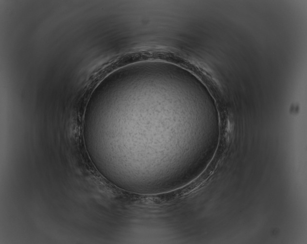 X0000091670966200708301456