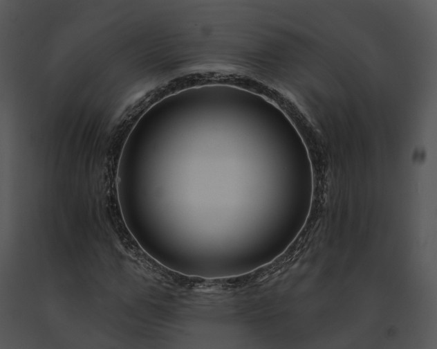 X0000091670967200708301456