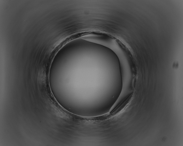 X0000091670969200708301456