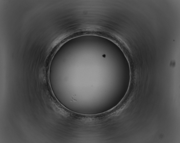 X0000091670970200708301456