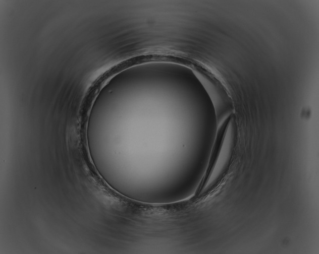 X0000091670971200708301456
