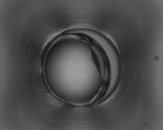 X0000091670973200708301456