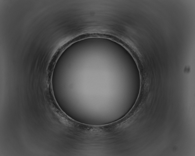 X0000091670974200708301456
