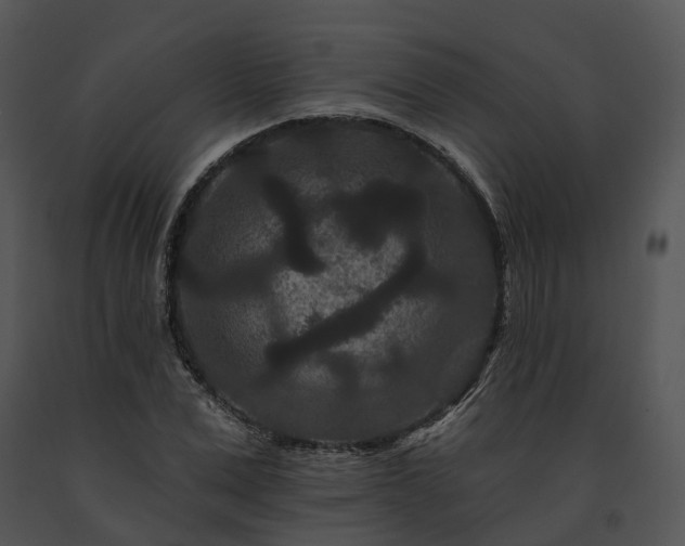X0000091670975200708301456