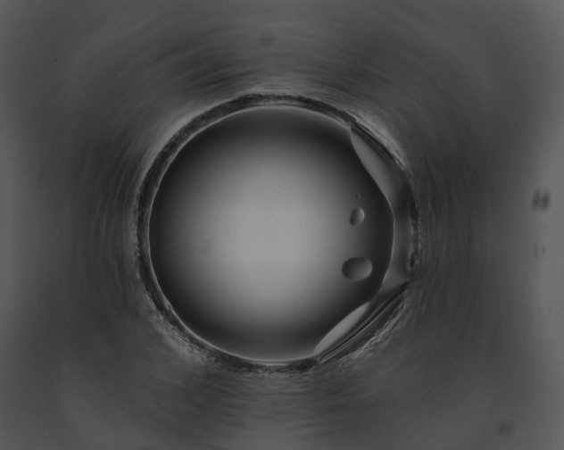 X0000091670976200708301456