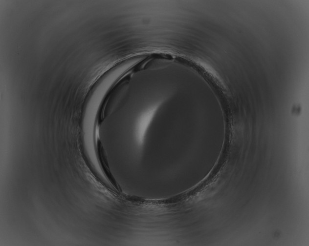 X0000091670977200708301456