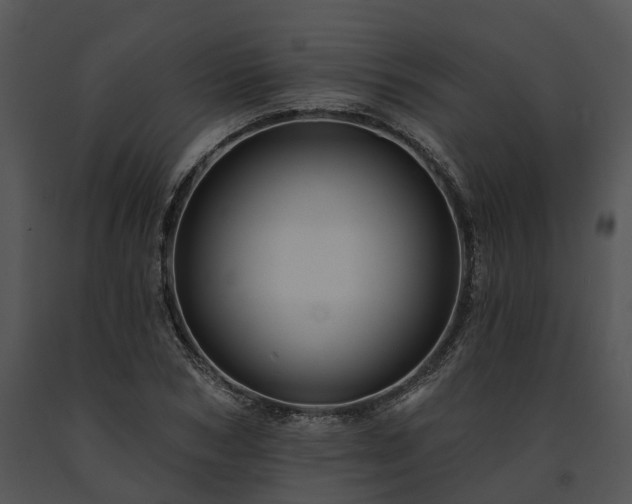 X0000091670978200708301456