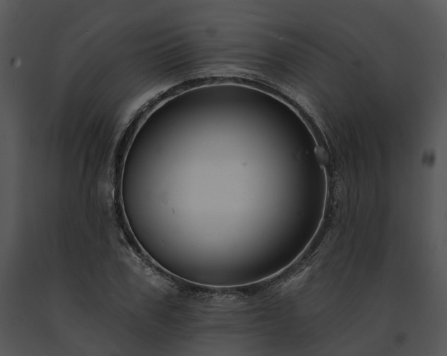 X0000091670979200708301456