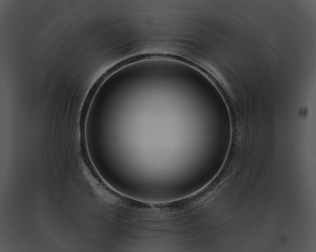 X0000091670980200708301456