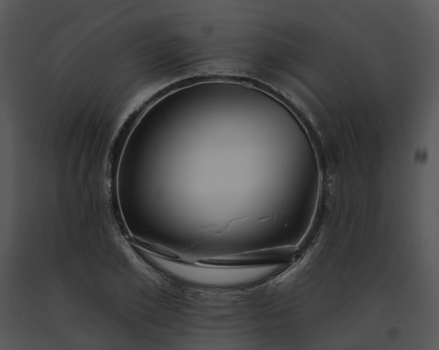 X0000091670981200708301456