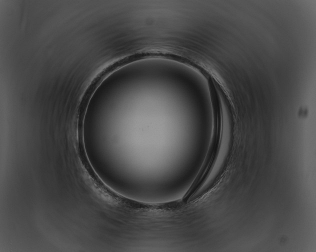 X0000091670984200708301456