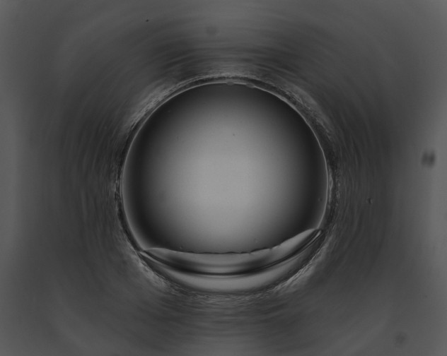 X0000091670985200708301456