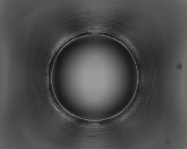 X0000091670986200708301456