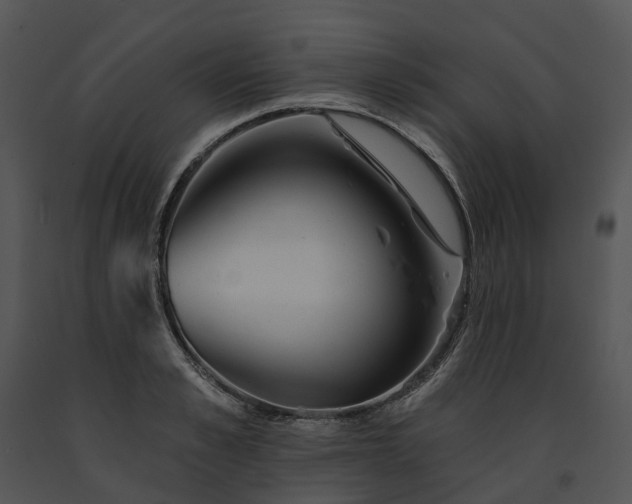 X0000091670989200708301456