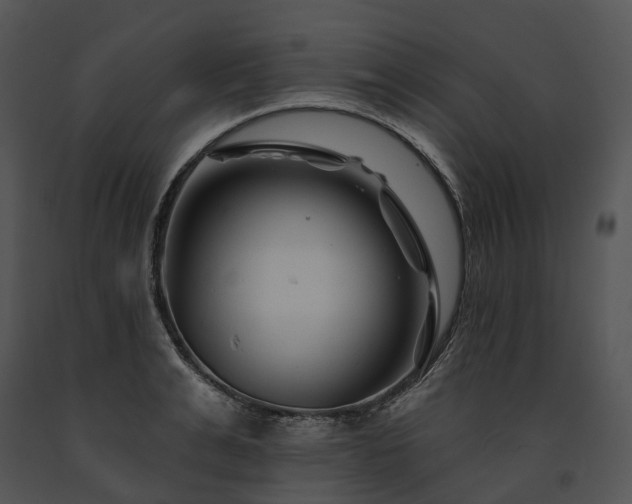 X0000091670991200708301456