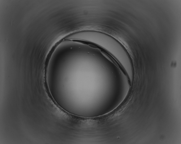 X0000091670992200708301456