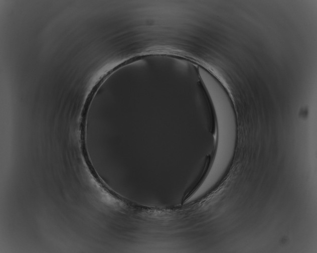 X0000091670995200708301456
