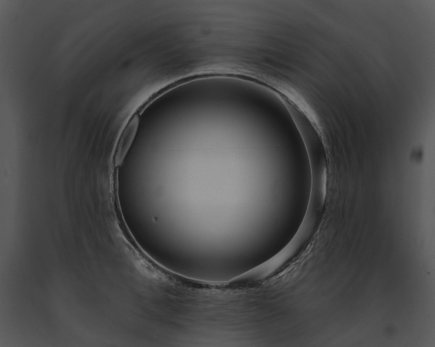 X0000091670996200708301456