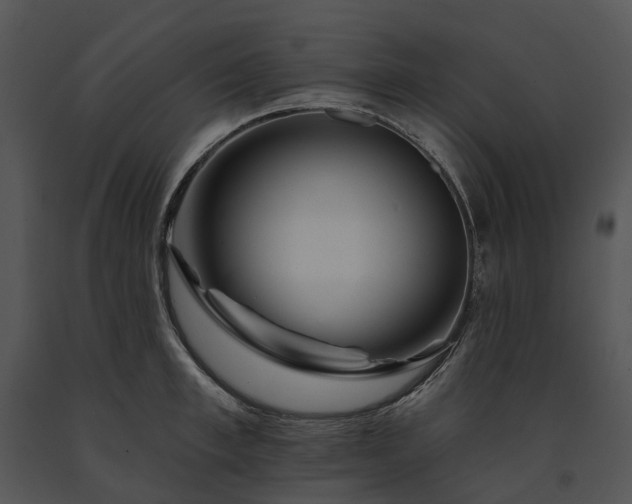 X0000091670997200708301456