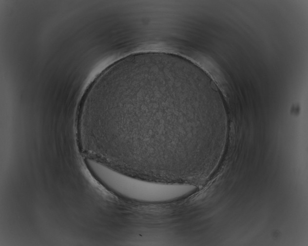 X0000091670998200708301456