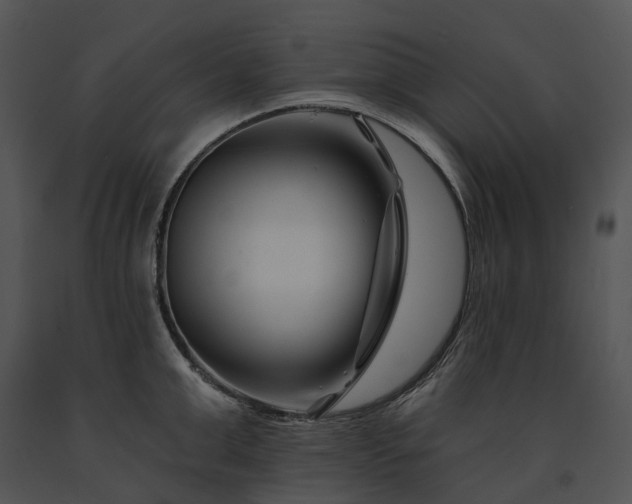 X0000091670999200708301455