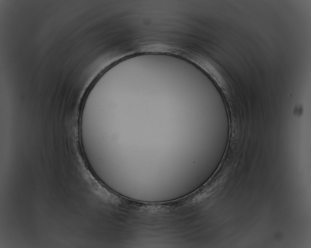 X0000091671000200708301455