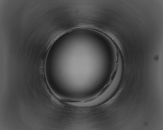 X0000091671001200708301455