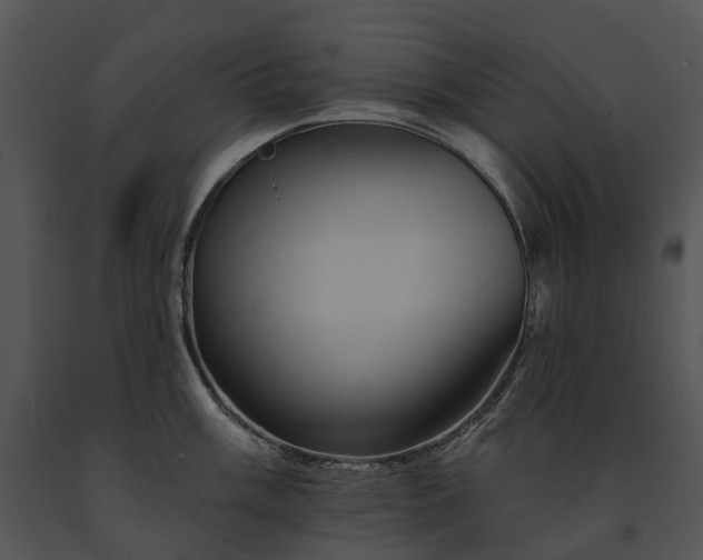 X0000091671003200708301455