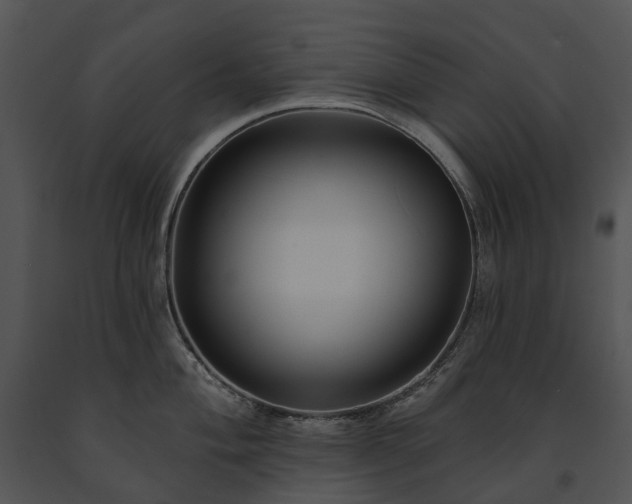 X0000091671004200708301455