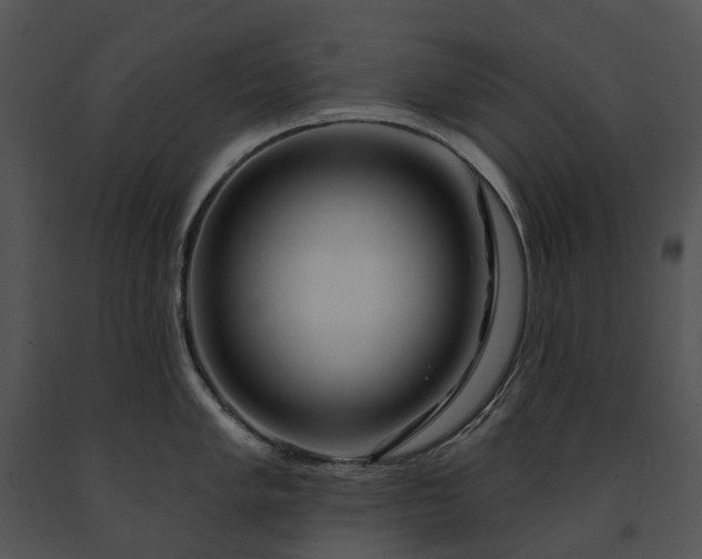 X0000091671005200708301455