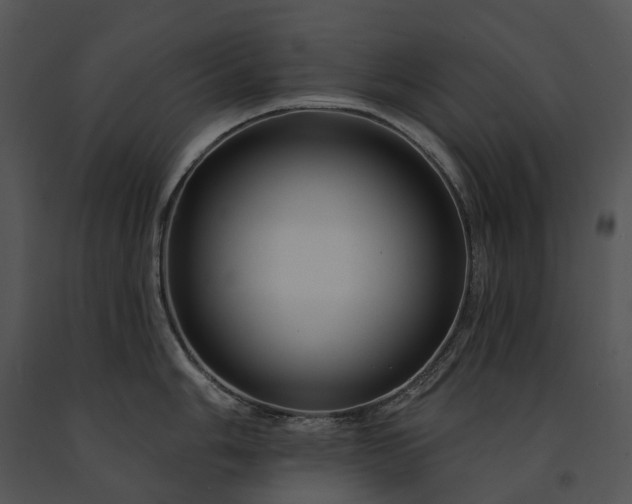 X0000091671006200708301455