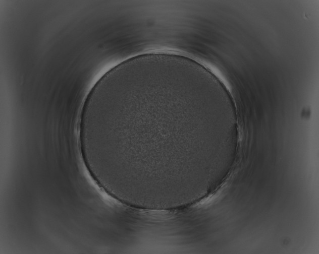 X0000091671007200708301455