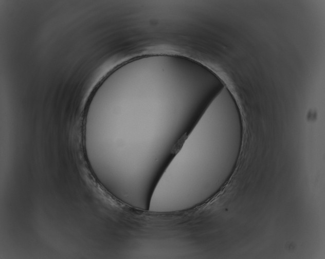 X0000091671008200708301455
