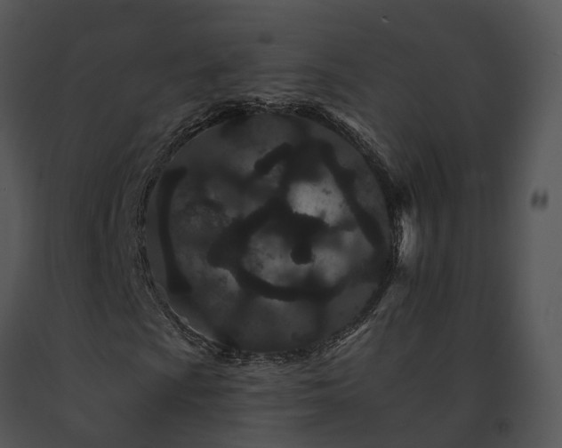 X0000091671009200708301455
