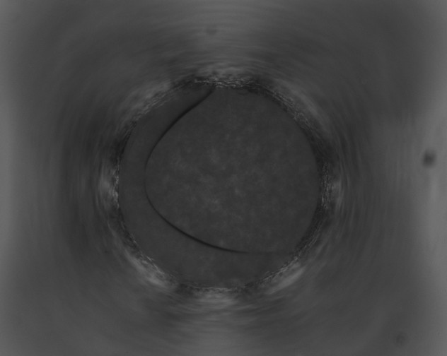 X0000091671010200708301455