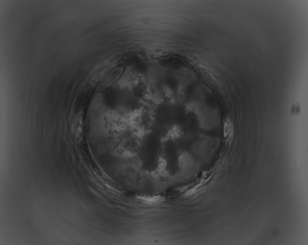 X0000091671011200708301455