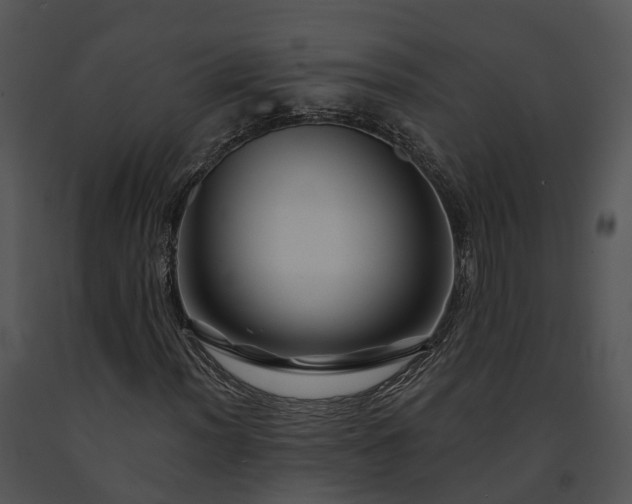 X0000091671012200708301455
