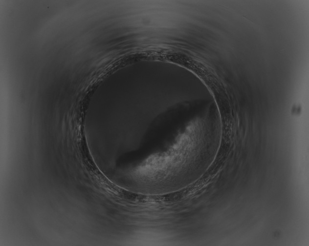 X0000091671013200708301455