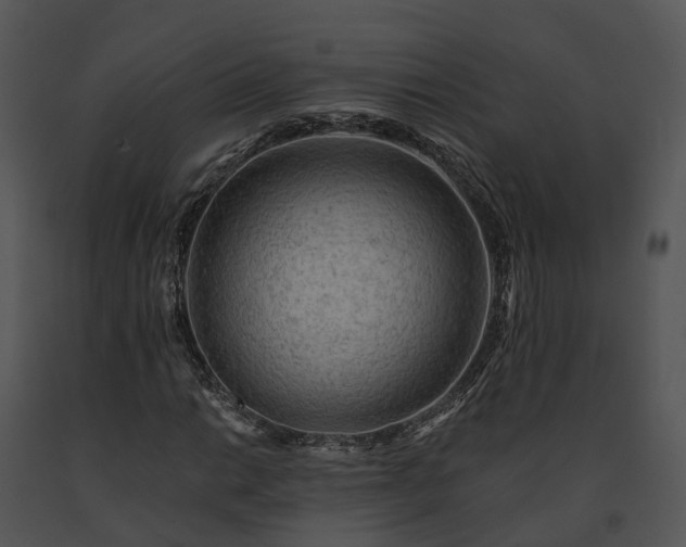 X0000091671014200708301455