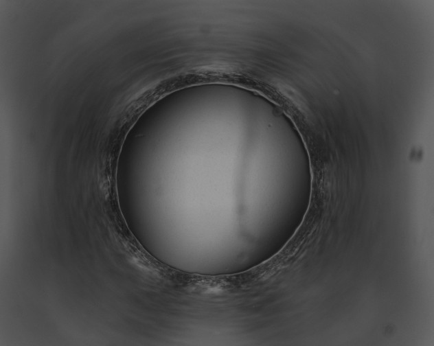 X0000091671015200708301455