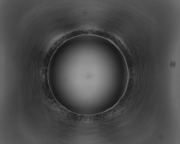 X0000091671016200708301455