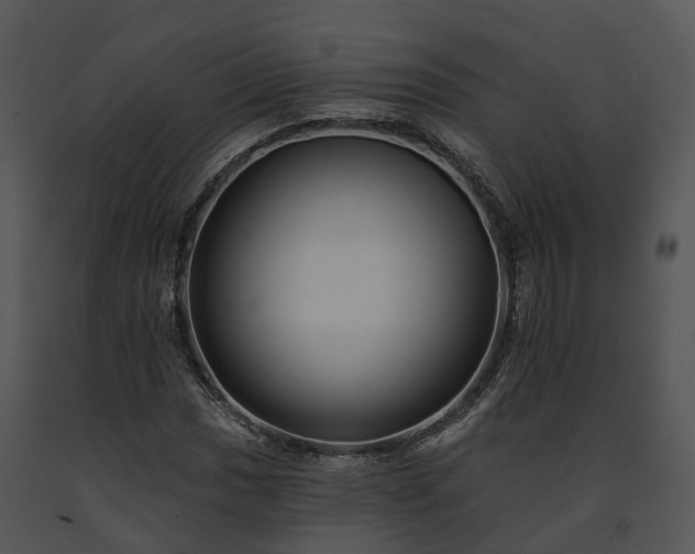 X0000091671017200708301455