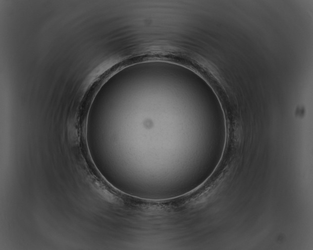 X0000091671018200708301455