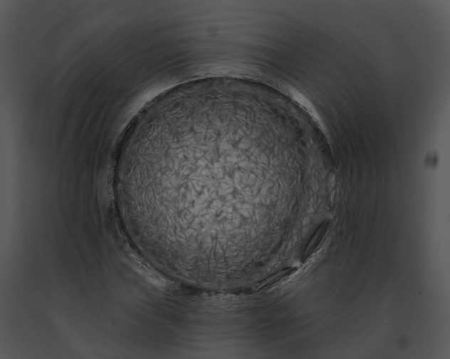 X0000091671019200708301455