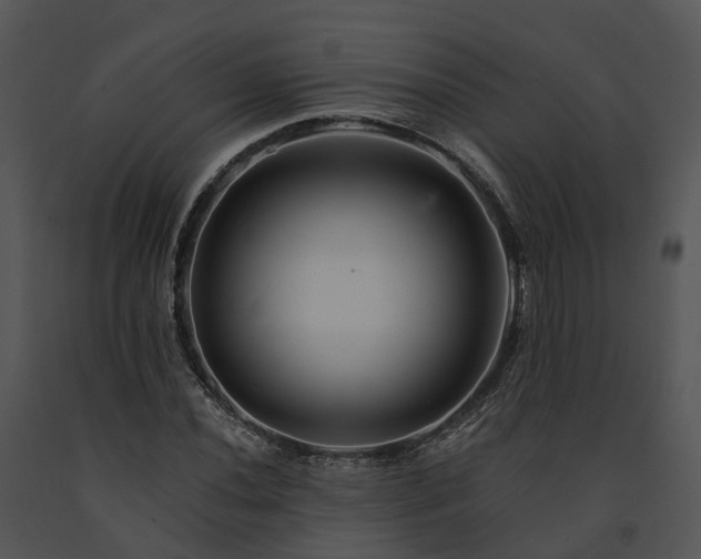 X0000091671020200708301455