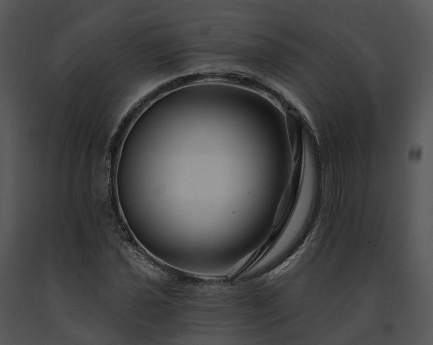 X0000091671021200708301455